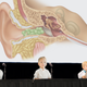 Illustration for article titled Toddler Scientists Finally Determine Number Of Peas That Fit Into Ear Canalem/em